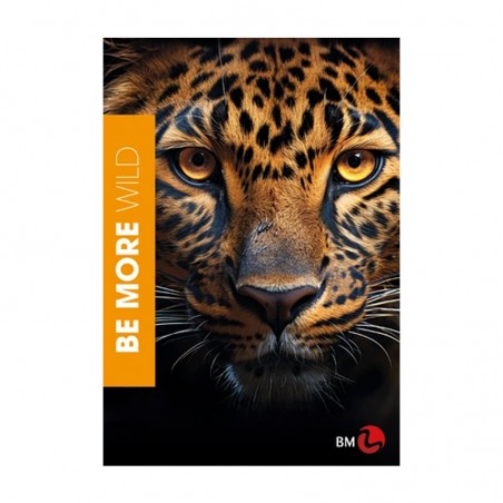 e-sklep Koh-I-Noor.pl