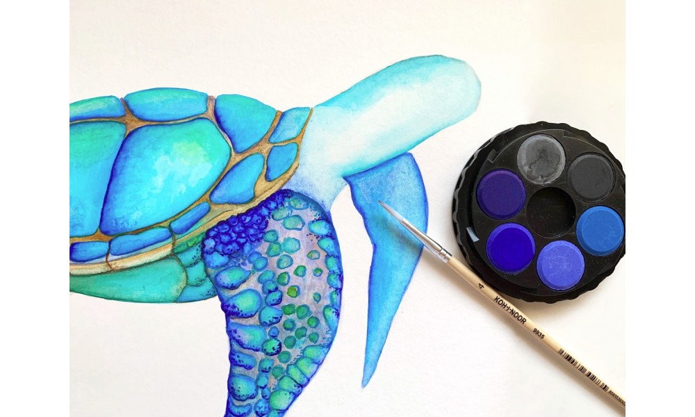 Malujemy żółwia morskiego!